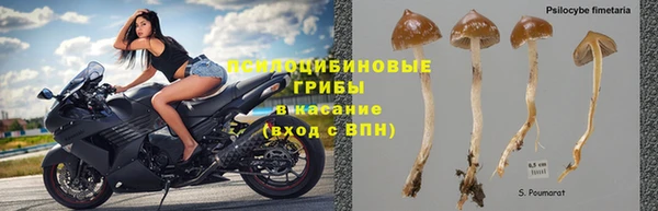 соль курить ск Алзамай