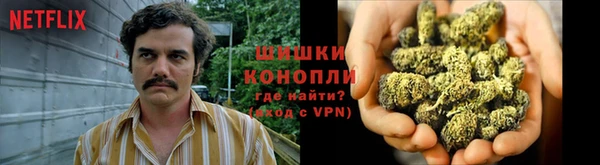 сатива Алексин