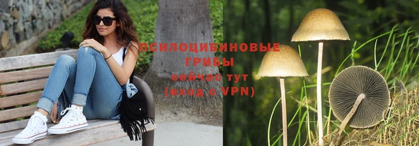сатива Алексин