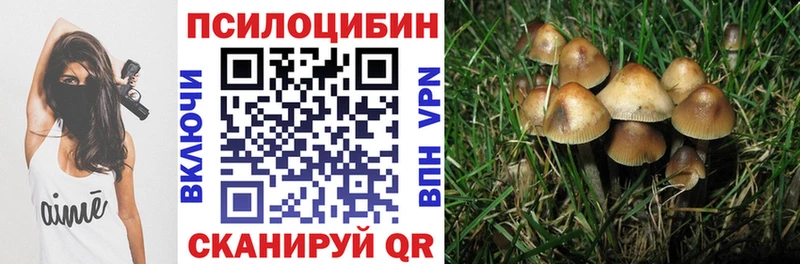 Галлюциногенные грибы ЛСД Ипатово