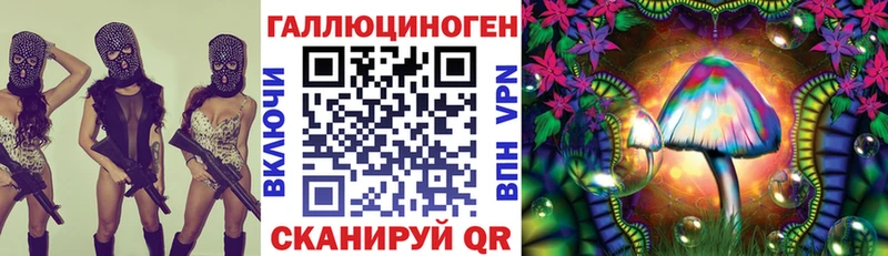 Псилоцибиновые грибы ЛСД  omg как войти  Ипатово  продажа наркотиков 