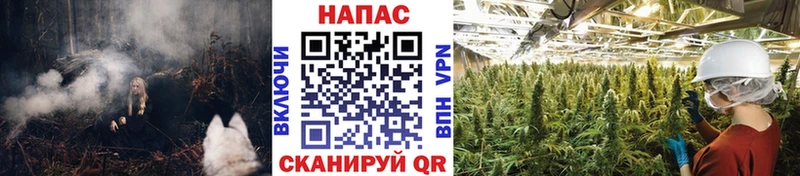 Бошки Шишки индика  Ипатово 